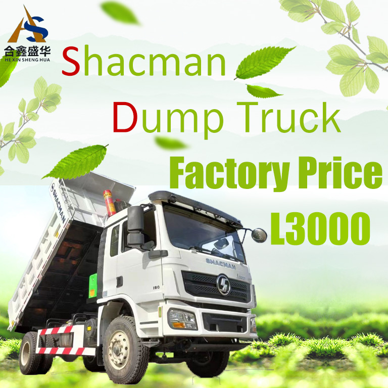 SHACMAN L3000 4X2 Truck