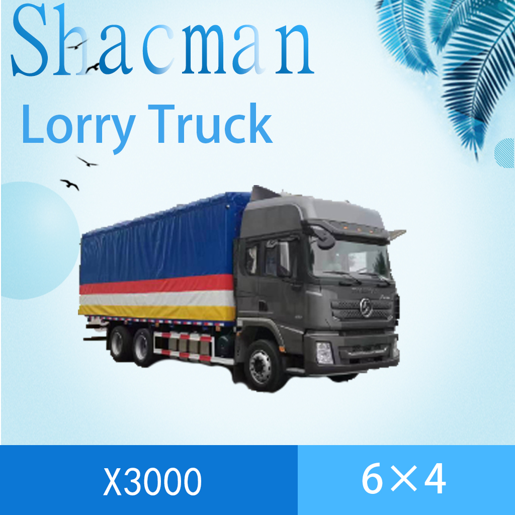 SHACMAN X3000 6x4 Lorry Truck